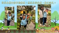 透過朗讀古詩結合田園耕種的體驗中培養小孩子勤勞、堅毅和珍惜等價值觀