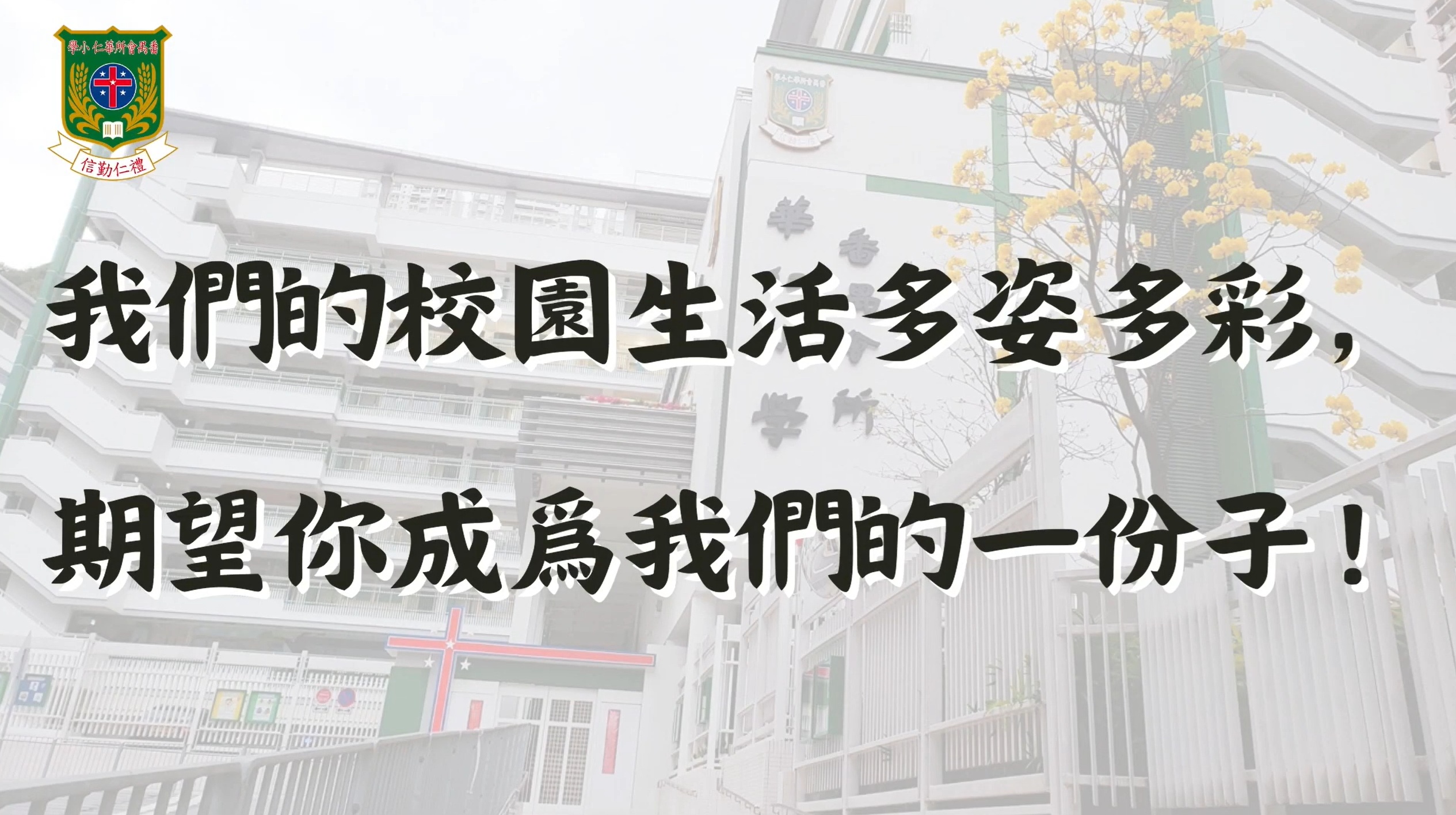 華仁仔的愉快學習之旅