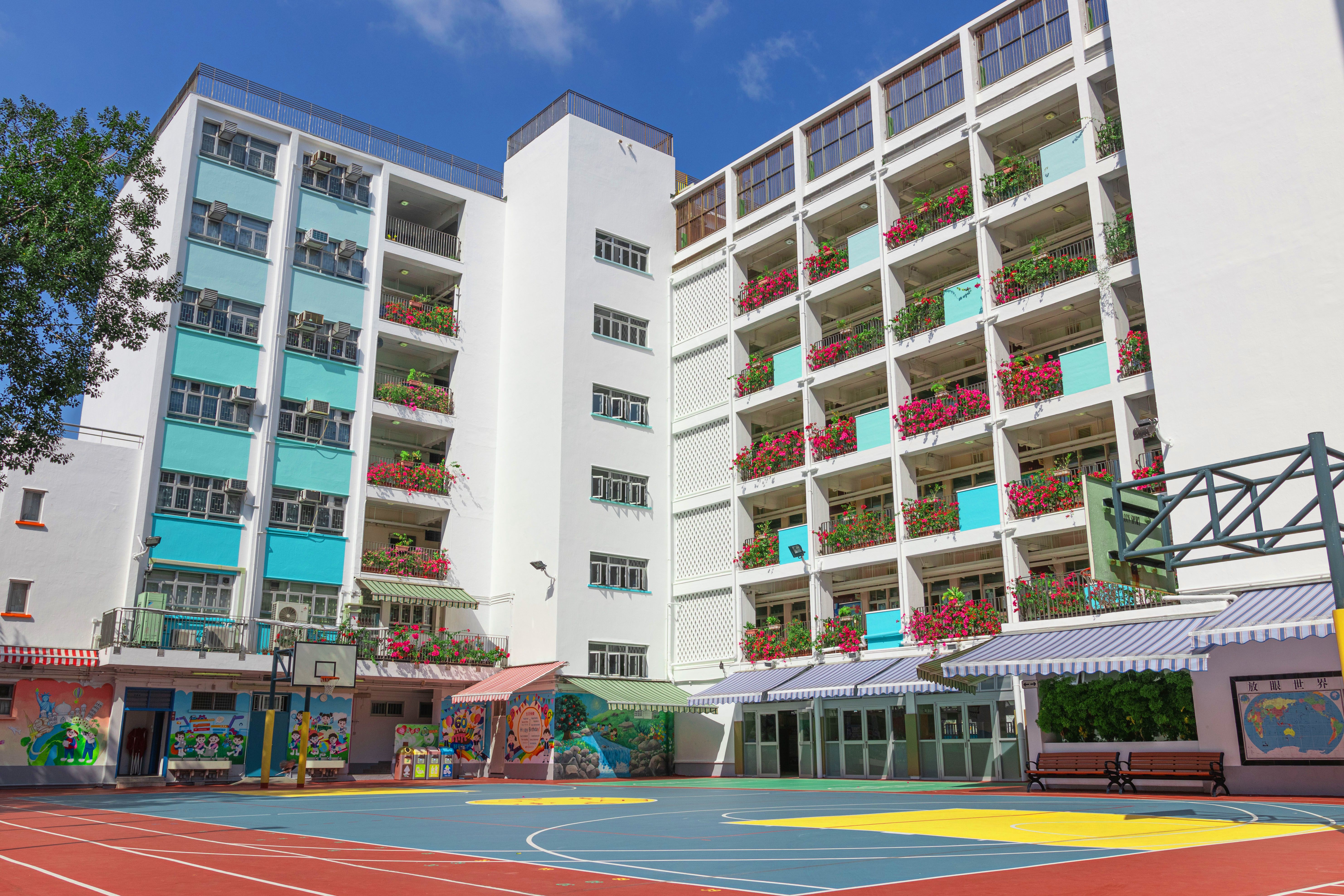 海壩街官立小學 學校簡介