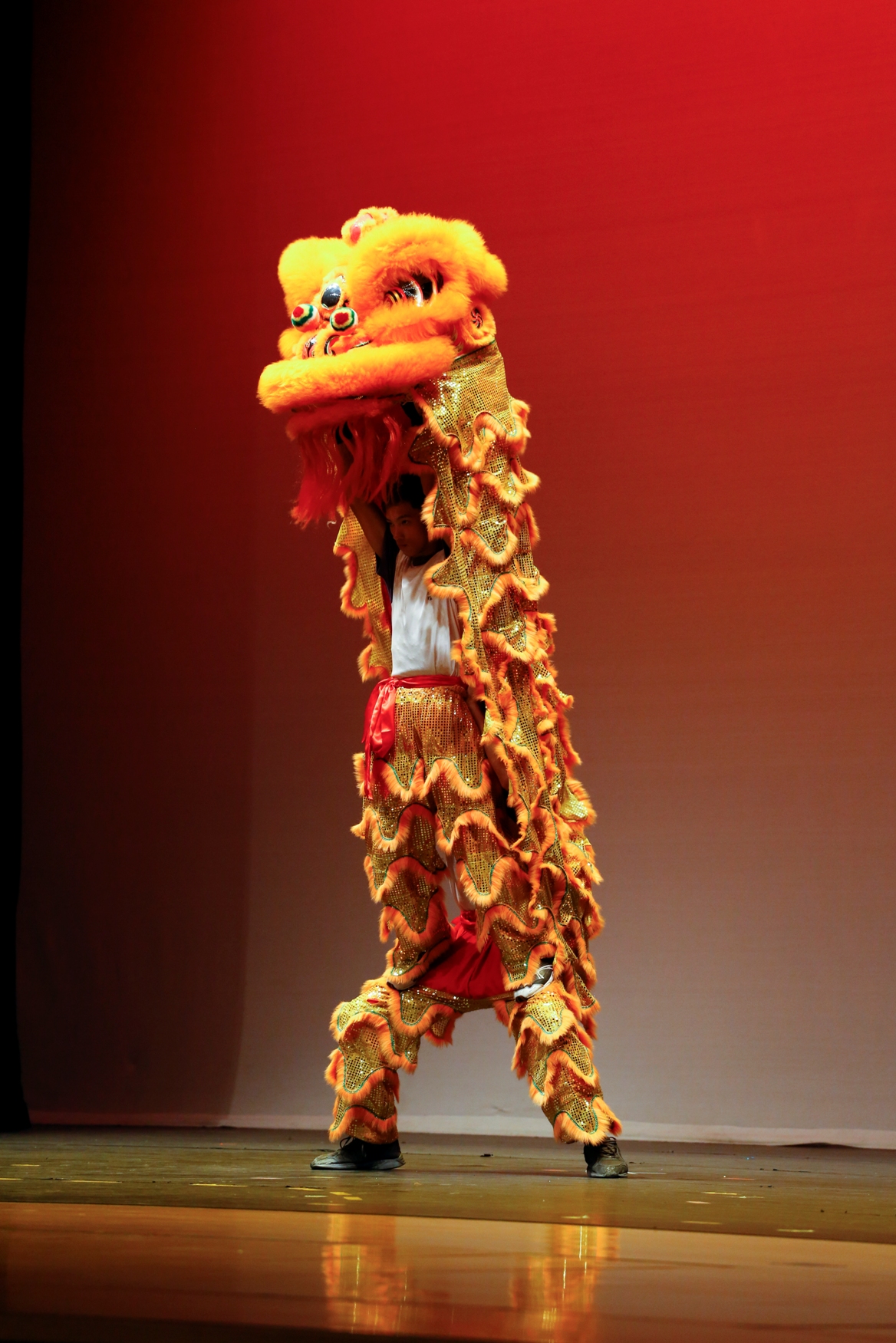 本校龍獅隊在全港公開龍獅藝錦標賽-獅藝地青組中榮獲優異獎